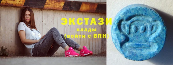 прущие грибы Абаза