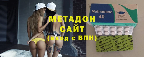 прущие грибы Абаза