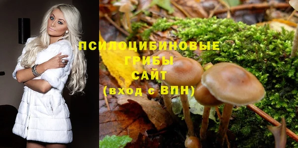 прущие грибы Абаза