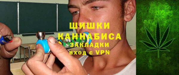 прущие грибы Абаза