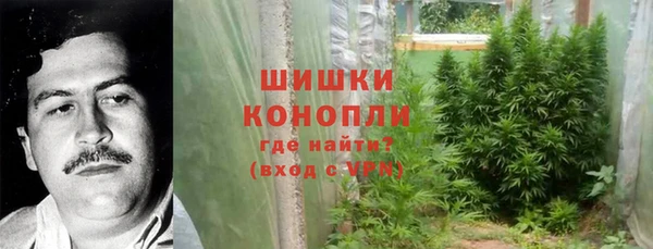 прущие грибы Абаза