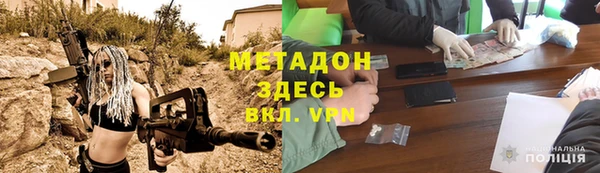 прущие грибы Абаза